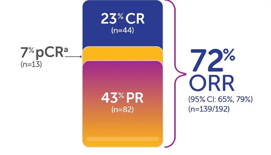 AllImg_3.jpg AllImg_3.jpg